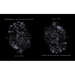 Transtraterrestrial: Dark Matter and Black Divinities
