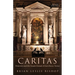 Caritas: Tintoretto and the Scuola Grande Di San Rocco, Venice