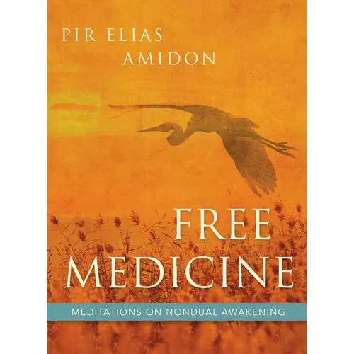 Free Medicine: Meditations on Nondual Awakening