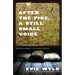 After the Fire, a Still Small Voice