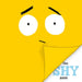 The Shy Book