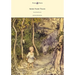 Irish Fairy Tales - Illustrated by Arthur Rackham