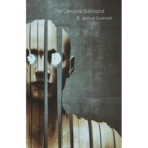 The Carceral Surround