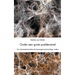 Onder een grote paddenstoel. Via schimmelnetwerken de leeromgeving krachtiger maken.