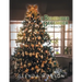 I Remember December: 31 Memory Stories