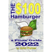 The $100 Hamburger - A Pilots' Guide 2022