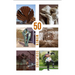 50 Women Sculptors