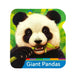 Smithsonian Kids Giant Pandas
