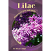 Lilac: Plant overview and guide