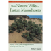 More Nature Walks in Eastern Massachusetts