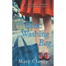 The Blue Washing Bag: A Gripping 1940s Irish Family Saga