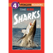 Time for Kids: Sharks