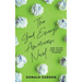 The Good Enough American Novel