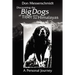 Big Dogs of Tibet and the Himalayas
