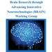 Brain Research through Advancing Innovative Neurotechnologies (BRAIN) Working Group