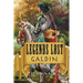 Legends Lost: Galdin