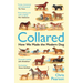 Collared: How We Made the Modern Dog
