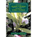 The Black Queen of Queens Is Solomon'S Song of Songs