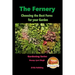 The Fernery - Choosing the Best Ferns for your Garden