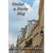 Under a Paris Sky