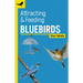 Attracting & Feeding Bluebirds