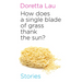 How Does a Single Blade of Grass Thank the Sun?