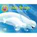 Baby Beluga
