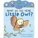 What Do You Hear, Little Owl?: Peek-Through with Sound and Light
