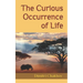 The Curious Occurrence of Life: How Genetic Code Proves God