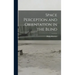 Space Perception and Orientation in the Blind