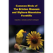 Common Birds of The Brinton Museum and Bighorn Mountains Foothills