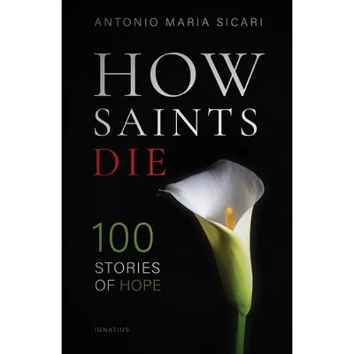 How Saints Die: 100 Stories of Hope