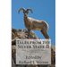 Tales from the Silver State II: Short Fiction from Nevada's Freshest Voices