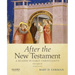 After the New Testament: 100-300 C.E.: A Reader in Early Christianity
