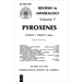 Pyroxenes