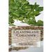 Cilantro and Coriander
