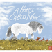 A Horse Called Now