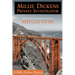 Millie Dickens, Private Investigator: A Millie Dickens Mystery