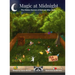 Magic at Midnight: The Hidden Secrets of Animals After Dark