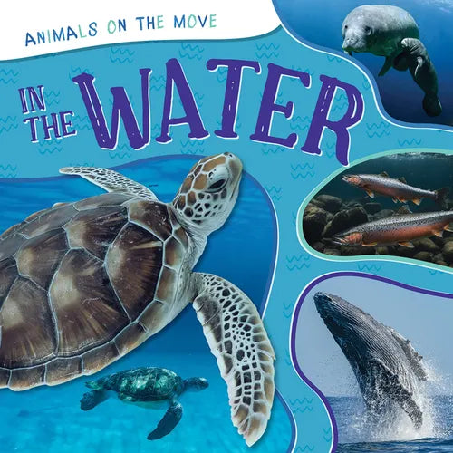In the Water