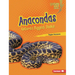 Anacondas: Nature's Biggest Snake