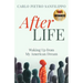 AfterLIFE: Waking Up from My American Dream
