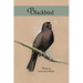 Blackbird: poems
