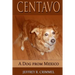 Centavo, A Dog From Mexico