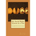 My Social Belief System in a Nut: Do I know what I believe; Do I believe what I know; Why do I believe what I believe; What does that say about me; an