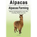 Alpacas. Alpacas Farming. Alpacas Farming guide to care, diet, breeding, healt
