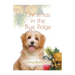 Christmas in the Blue Ridge, Saving Bethlehem
