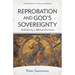Reprobation and God's Sovereignty: Redeeming a Biblical Doctrine
