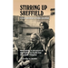 Stirring Up Sheffield: An Insider's Account of the Battle to Build the Crucible Theatre