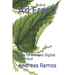 Ad Fraud: How to Prevent Digital Ad Fraud